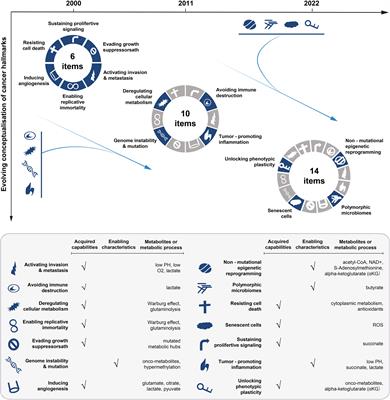 When cancer drug resistance meets metabolomics (bulk, single-cell and/or spatial): Progress, potential, and perspective